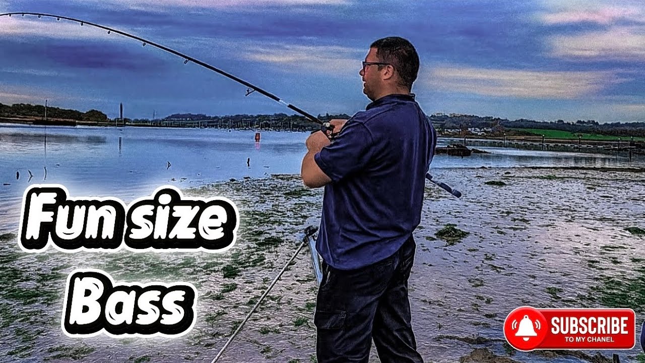 Lunch Break , Bass Fun 🤩