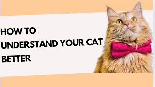 HOW TO UNDERSTAND YOUR CAT BETTER #understandingcats #catviral  #catviralvideos #cat