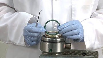 SaniForce 2:1 Service- Motor Disassembly