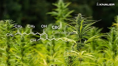 Analyze and purify with KNAUER