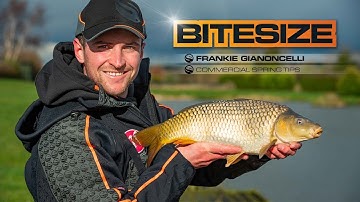 Catch More Carp On Commercial Fisheries! | Guru Bitesize #010