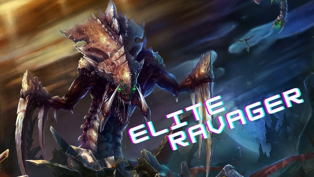 Starcraft 2 Special Forces Elite 5 Torment Zerg SOLO YouTube
