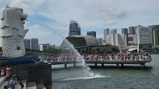 Singapore Tour 2024