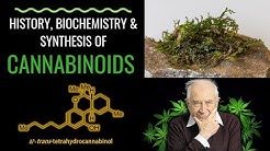 Legal high from moss better than medical cannabis? History, Bio, Chemistry & Synthesis of THC & CBD