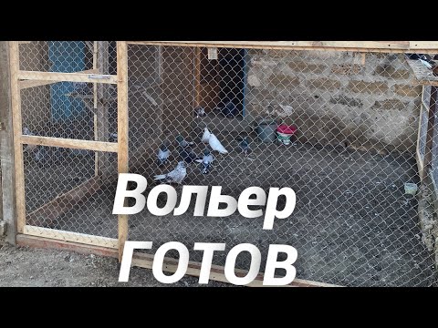 Вольеры для голубей своими руками фото