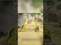 Clearing the OBJ #modernwarfare2multiplayergameplay #warzone #gaming #cod #shorts #fyp #callofduty