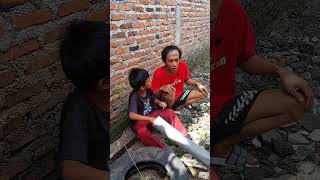 Download Lagu jadi te kadenge akh gagu wae iyeu suara #funny #komedipasutri #comedy #lucu MP3 Download Lagu jadi te kadenge akh gagu wae iyeu suara #funny #komedipasutri #comedy #lucu MP3