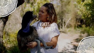 Voices from the Forest: Aunty Sharron mirii Bell Talks Children, Country, the Future | WWF-Australia