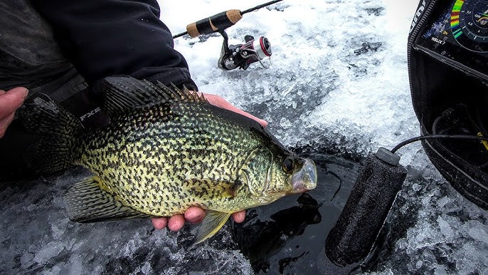 Ice Fishing Panfish - Find Crappies and Bluegills with Ease 