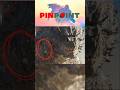Did You Know This In Godzilla X Kong The New Empire Godzillavskong Monsterverse Pinpoint 