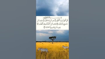 سورة الفلق عبد الباسط عبد الصمد #quran #religion #اكسبلور  #عبدالباسط #راحة_نفسية #explore