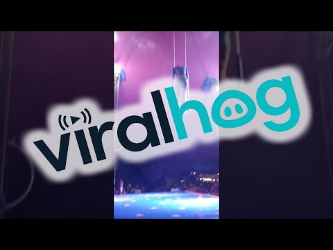 Spider man Falls from Trapeze || ViralHog