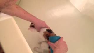 Mia's First Bath.