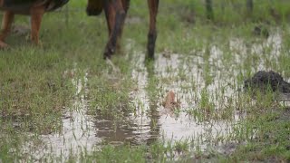 Residents near new development in North Texas blame flooding on construction