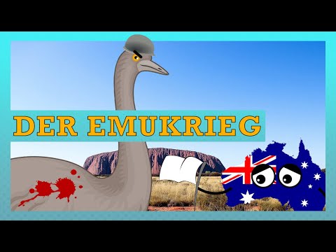 Video: Hvad hedder en gruppe emuer?