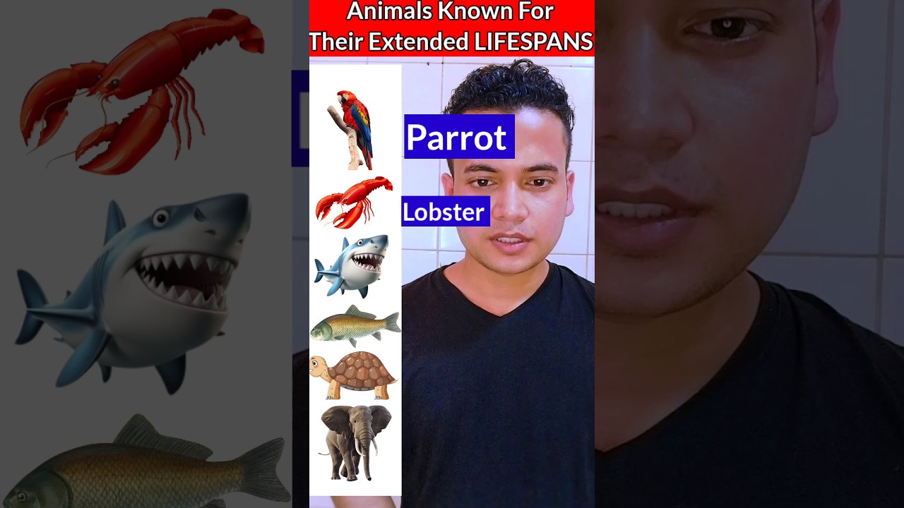 Animals known for their extended Lifespans