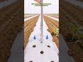 Perfect Hole Puncher: The Ultimate Farm Efficiency Hack! #farming #farmer #tools