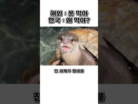 전 세계가 수백억 혈세를 쏟아부어도 못 막은 외래종을 손도 안 대고 막은 한국 클라쓰