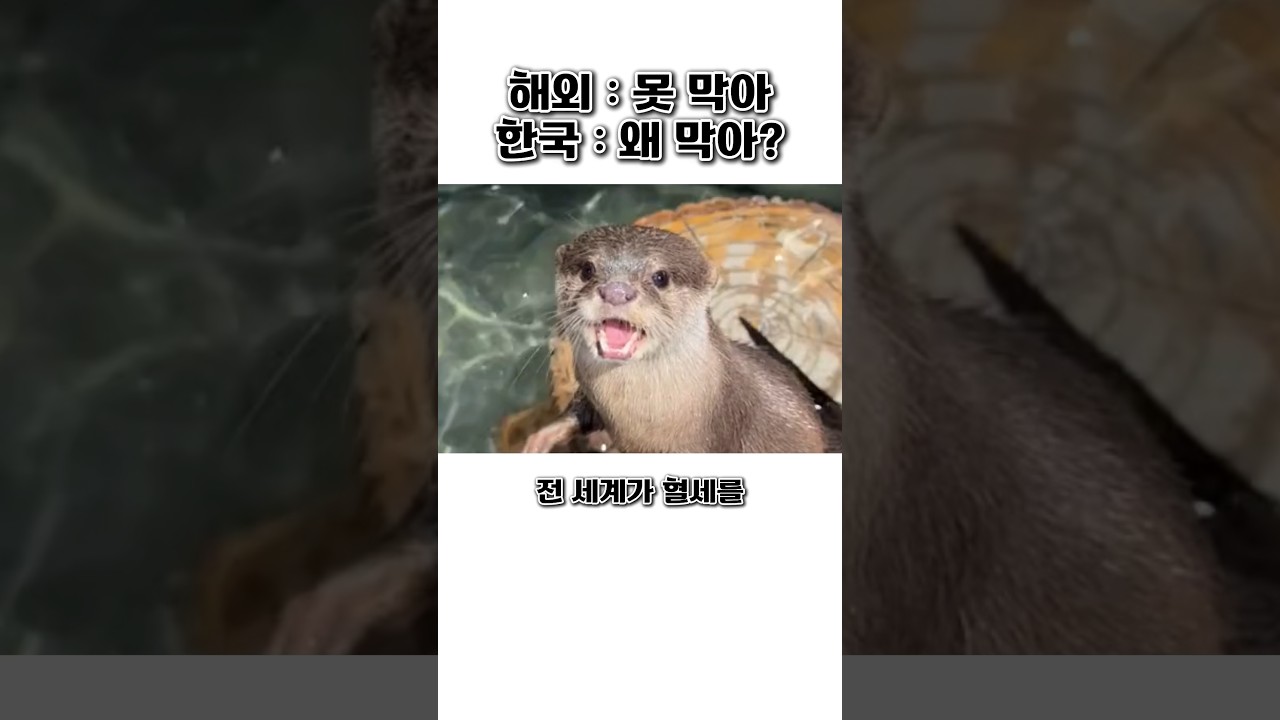 전 세계가 수백억 혈세를 쏟아부어도 못 막은 외래종을 손도 안 대고 막은 한국 클라쓰