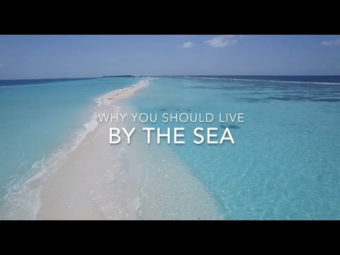 Why you should live close to the ocean hqdefault