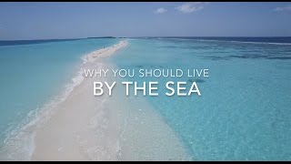 Why you should live close to the ocean