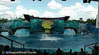 One Ocean   SeaWorld Orlando