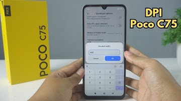 How To Change/Settings Dpi Poco C75