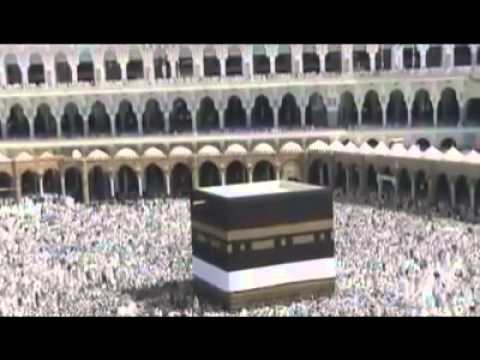 يا طيبه ____مع تحيات هاني الخولي