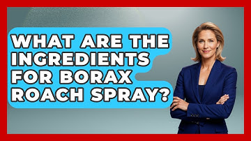 What Are The Ingredients For Borax Roach Spray? - Insects and Invaders