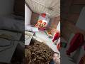 Rats Expose #experiment #shorts #outofmind