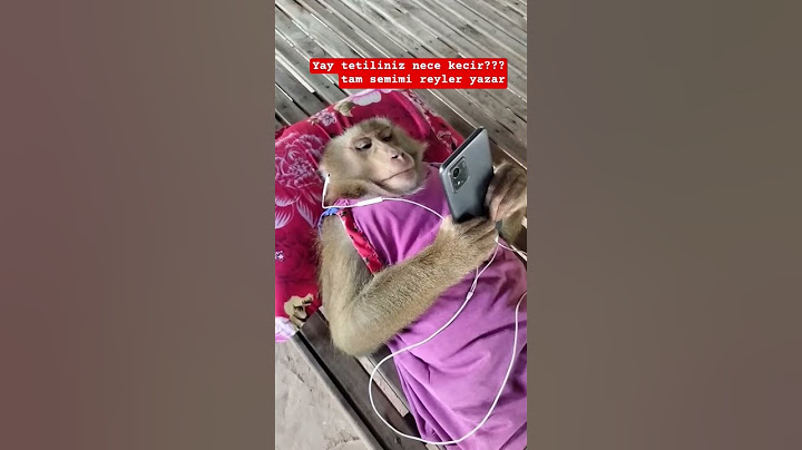 Sondakı səslər tanış gəlir?))
