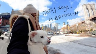 Chilly Days In Brooklyn | Favorite Spot in Dumbo, Cooking Kimchi Jjigae, Diet Fail, Work News