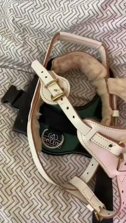 Service Dog gear addiction