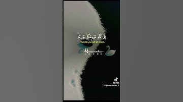 سوره المائده #بسم_الله_الرحمن_الرحيم #لااله_الا_الله_محمد_رسول_الله