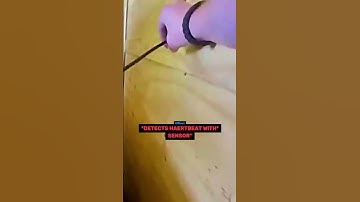 Traffic stop uncovers immigrants hiding in truck