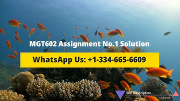 MGT602 Assignment No. 1 Solution Spring 2023