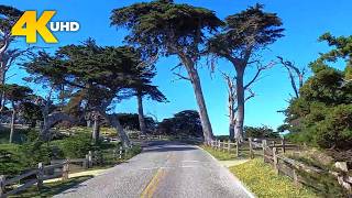 17 Mile Drive California | Pacific Grove to Carmel Along the Pacific Coast