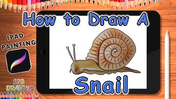 How to draw a Snail Easy Step by Step on iPad Procreate