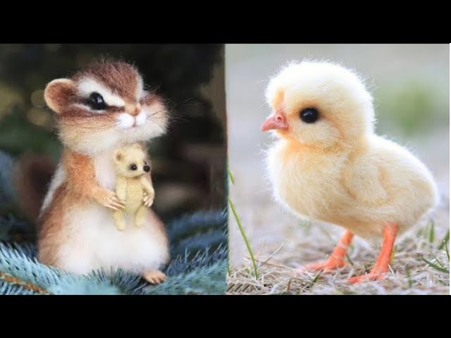 Cute Baby Animals Videos Compilation | Funny and Cute Moment of the Animals #26- Cutest Animals class=