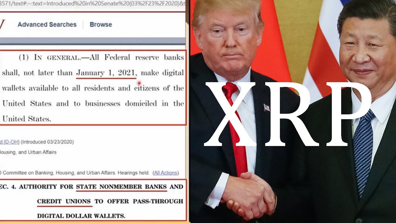 Ripple XRP DONALD TRUMP IS READY ARE YOU!! - YouTube