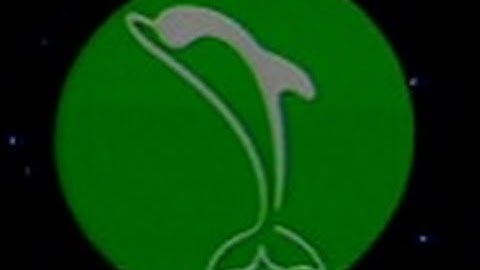 Dolphin Productions - "Demo Reel" (1978)