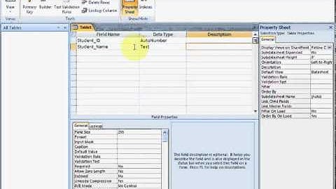 MS Access 2007 Part3   Urdu Tutorial By NaQeeb