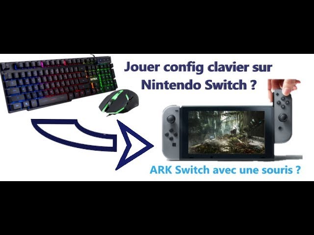 Comment jouer CLAVIER/SOURIS sur Nintendo Switch en 2023 