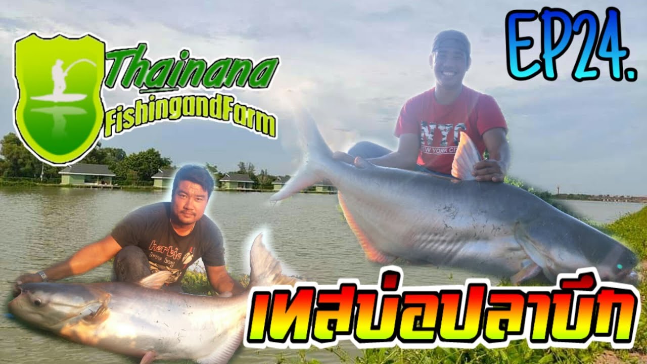 EP24 : ไทนานาฟิชชิ่ง&ฟาร์ม [เทสบ่อปลาบึก]