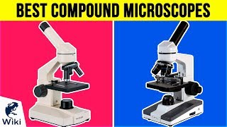 10 Best Compound Microscopes 2018