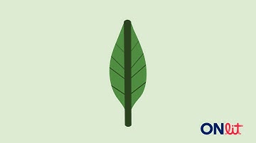 Embedded Mnemonic - L Instructional Video