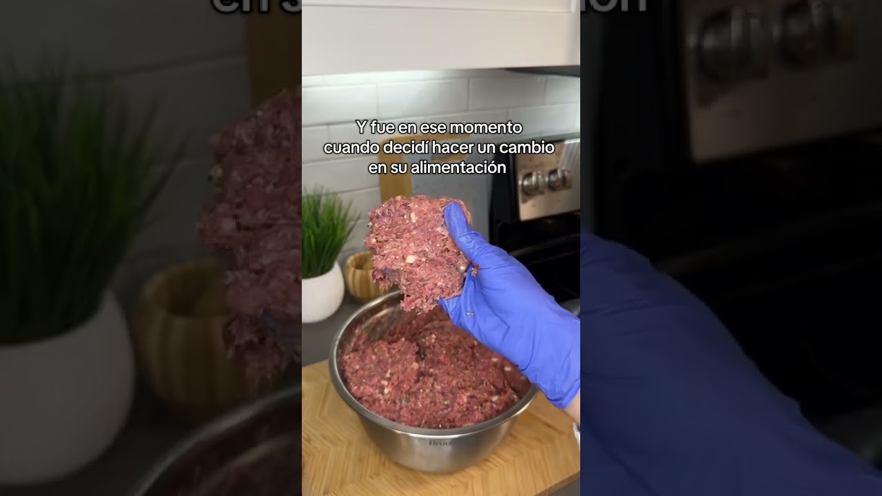 Cuida a tu mascota🥺 🤍