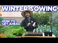 Why i am starting these seeds now  companion planting for spring