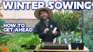 Why I Am Starting These Seeds NOW | Companion Planting For Spring by Jacques in the Garden 78,079 views 3 months ago 22 minutes