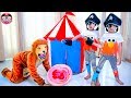 หนูยิ้มหนูแย้ม | โจรสลัดฝึกสิงโต Pretend Play Pirates and Lion